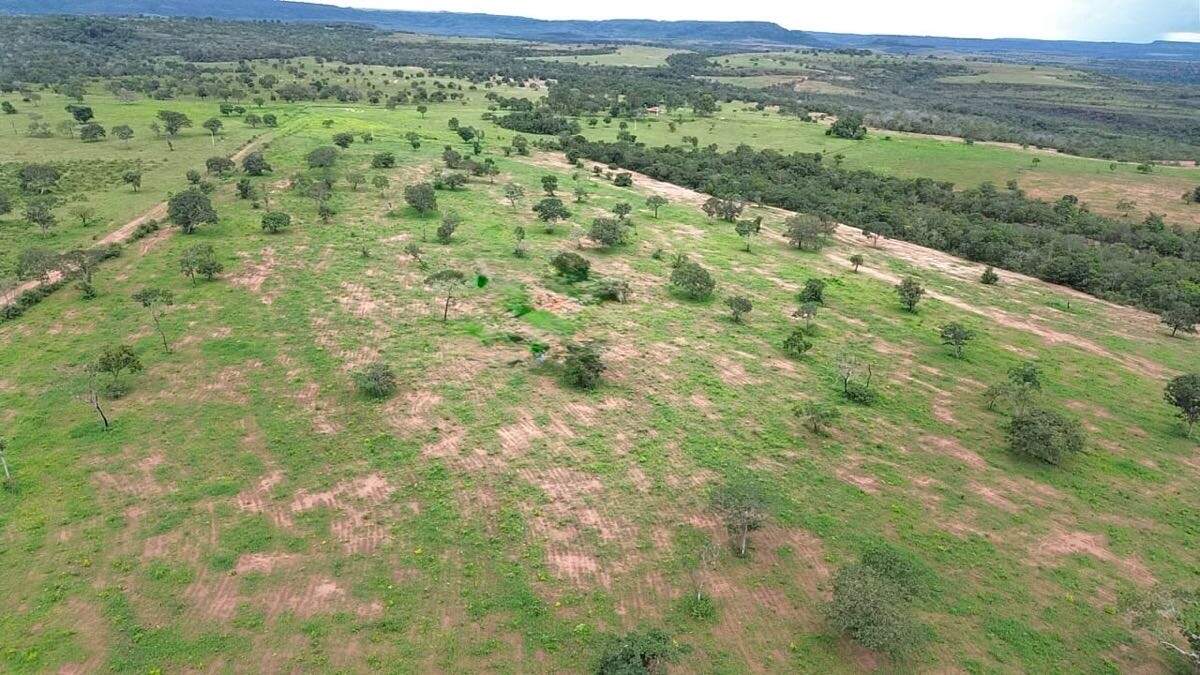 Fazenda à venda no Rural: 