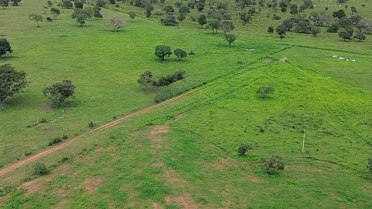 Fazenda à venda no Rural: 