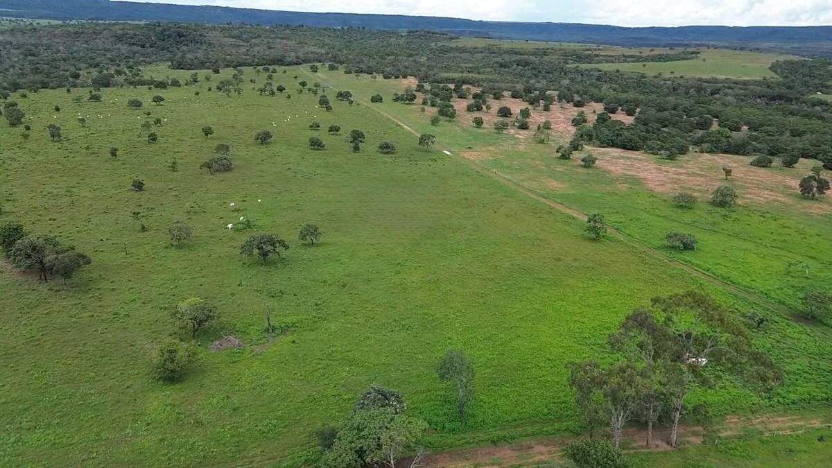 Fazenda à venda no Rural: 