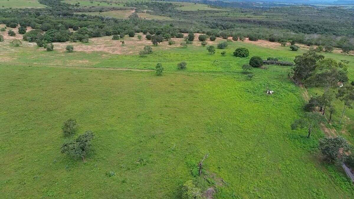 Fazenda à venda no Rural: 