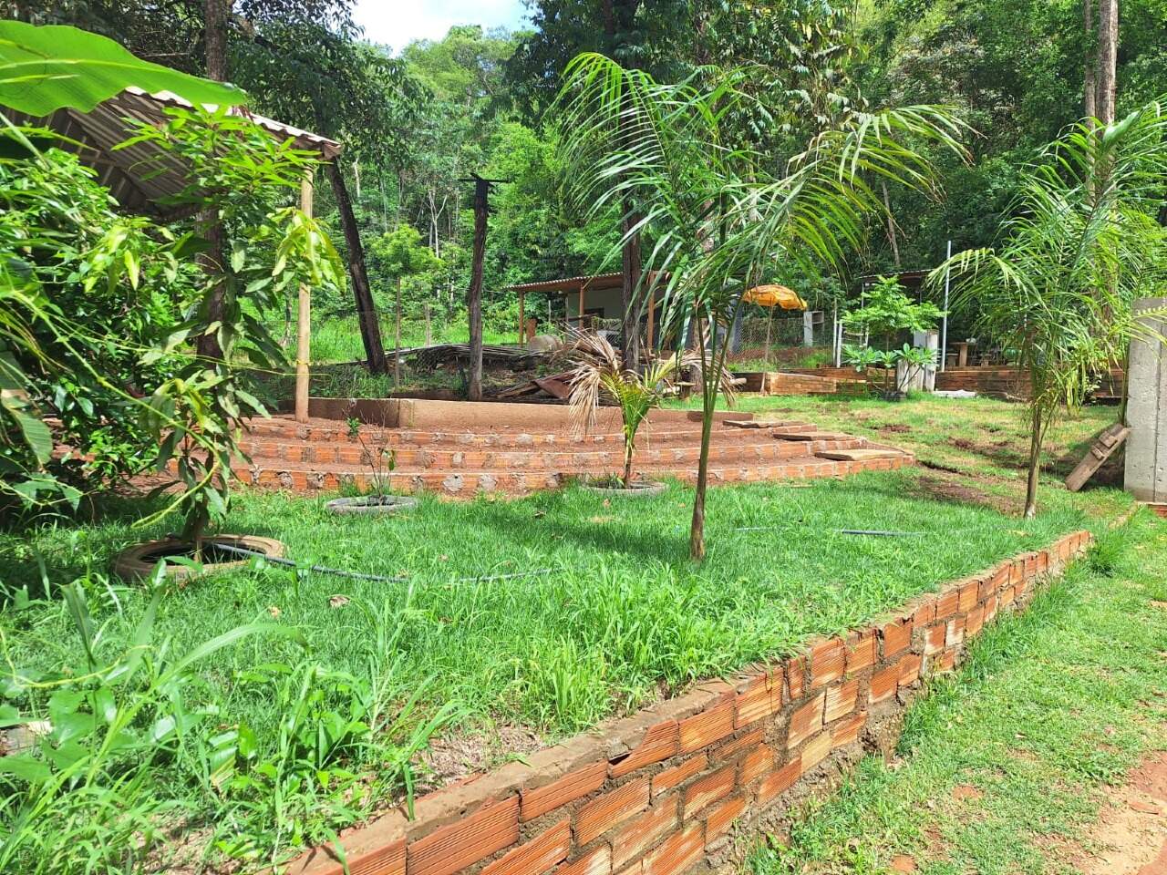 Chácara à venda no Zona Rural: 