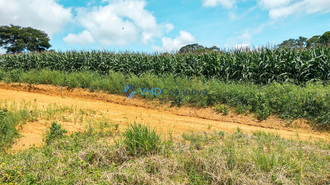 Lote à venda no Área Rural de Viçosa: 