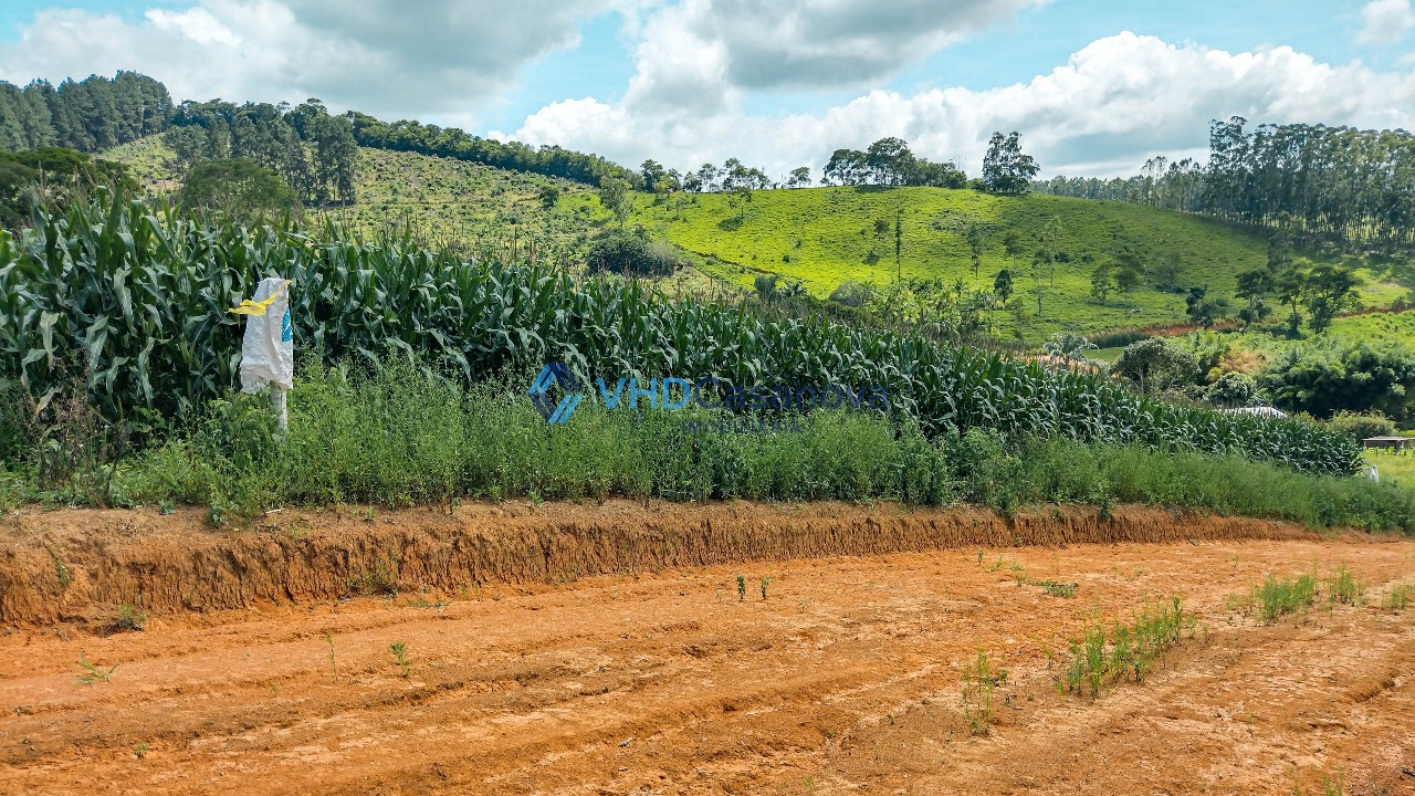 Lote à venda no Área Rural de Viçosa: 
