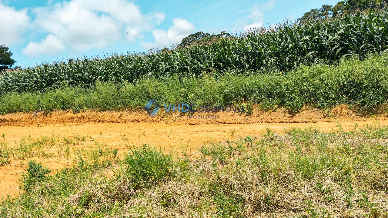 Lote à venda no Área Rural de Viçosa: 