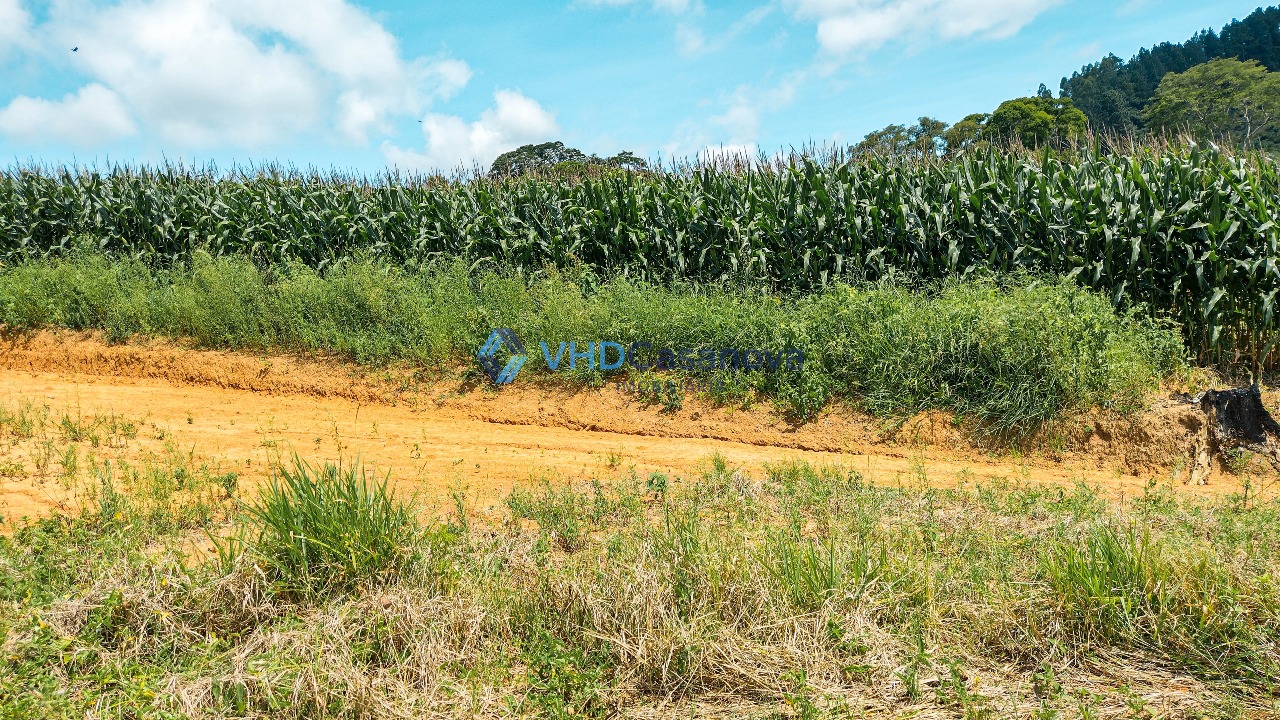 Lote à venda no Área Rural de Viçosa: 