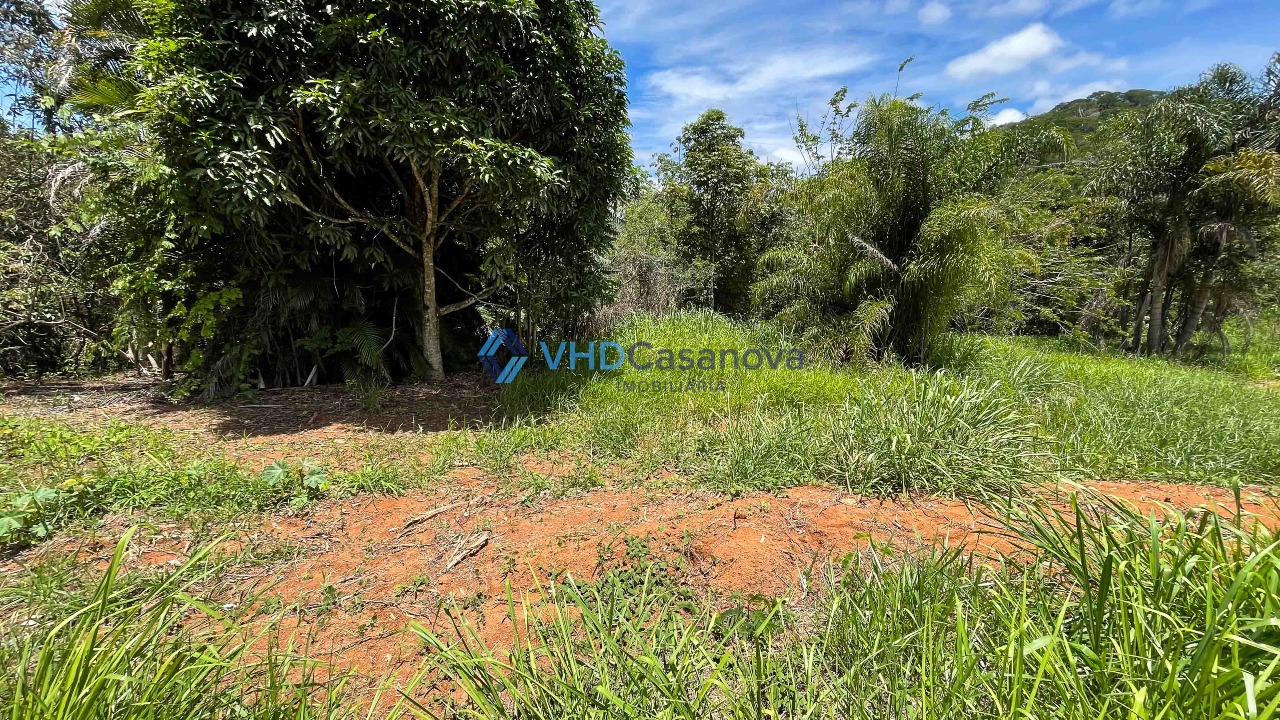 Lotes à venda no Romão dos Reis: 