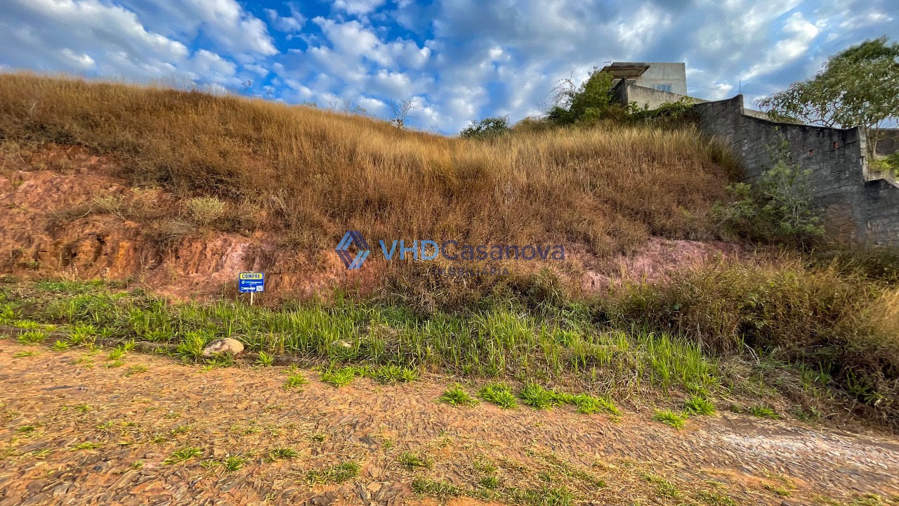 Lote à venda no Inconfidência: 