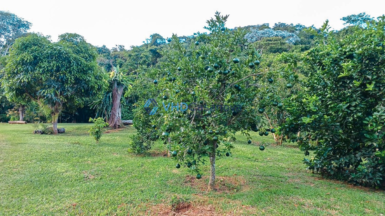 Chácara à venda no Paraiso: 