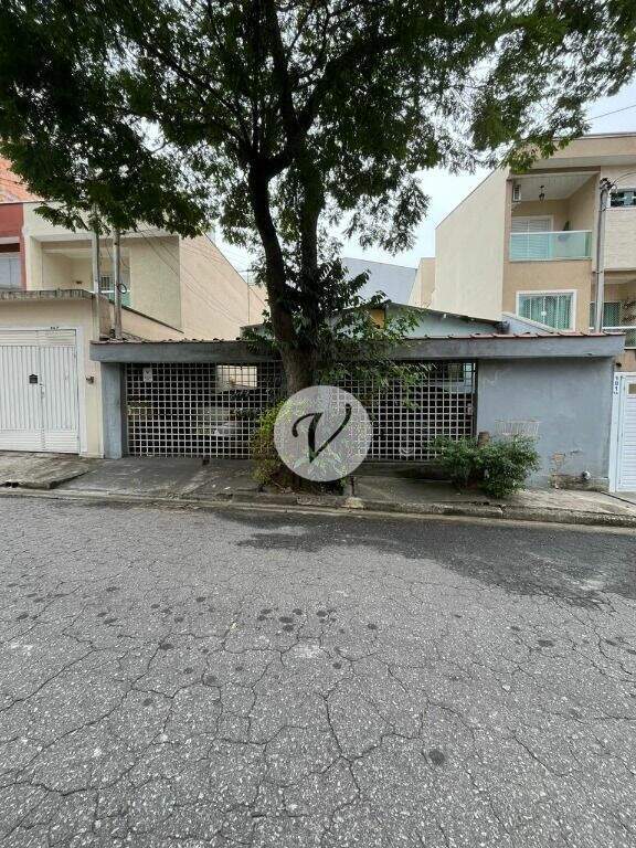 Terreno à venda no Vila Floresta: 