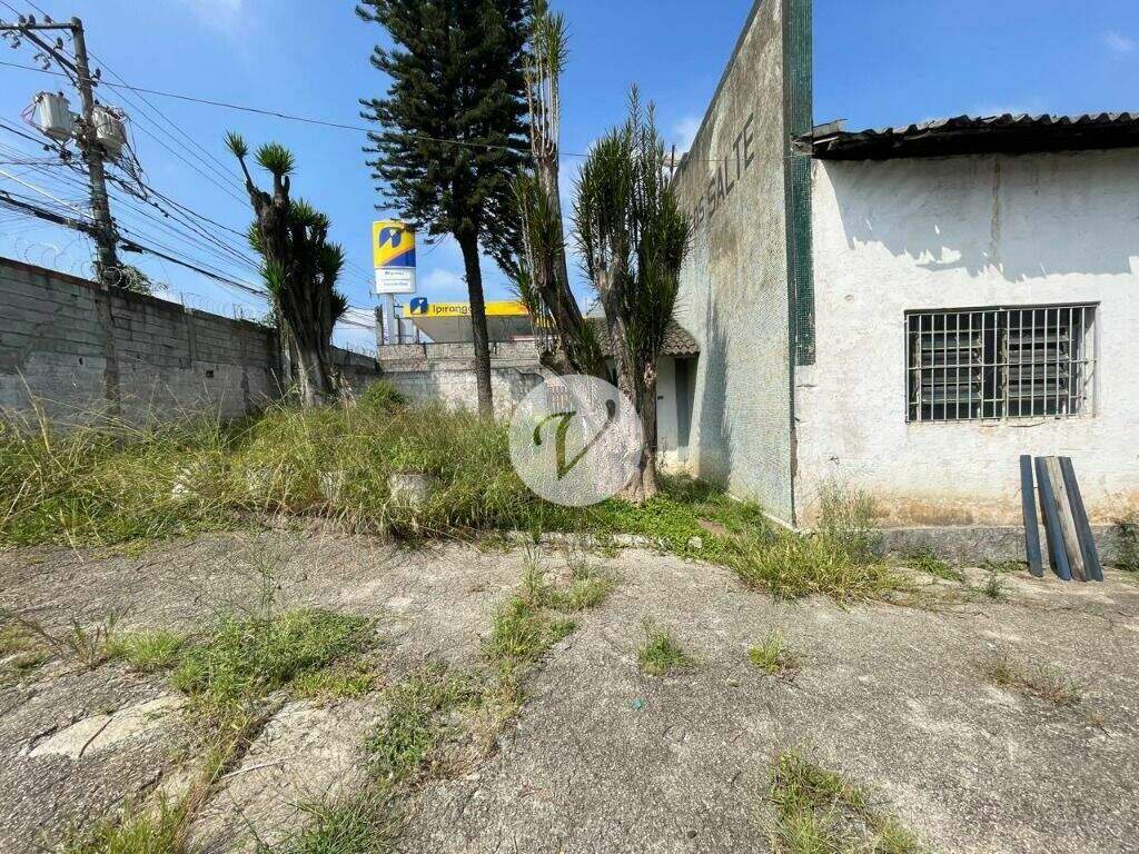 Galpão à venda no Vila Luzita: 