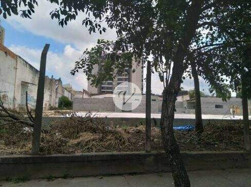 Terreno para aluguel no Vila América: 