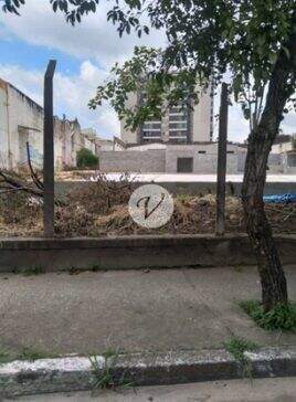 Terreno para aluguel no Vila América: 