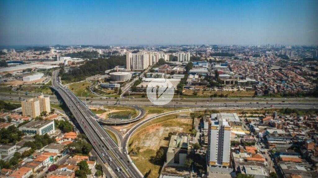 Terreno para aluguel no Vila Dusi: 