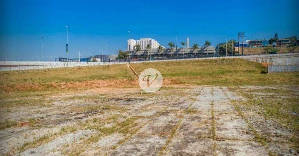 Terreno para aluguel no Vila Dusi: 