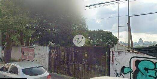 Terreno para aluguel no Paulicéia: 