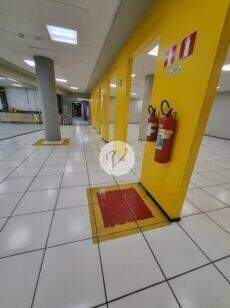 Galpão para aluguel no Tatuapé: 