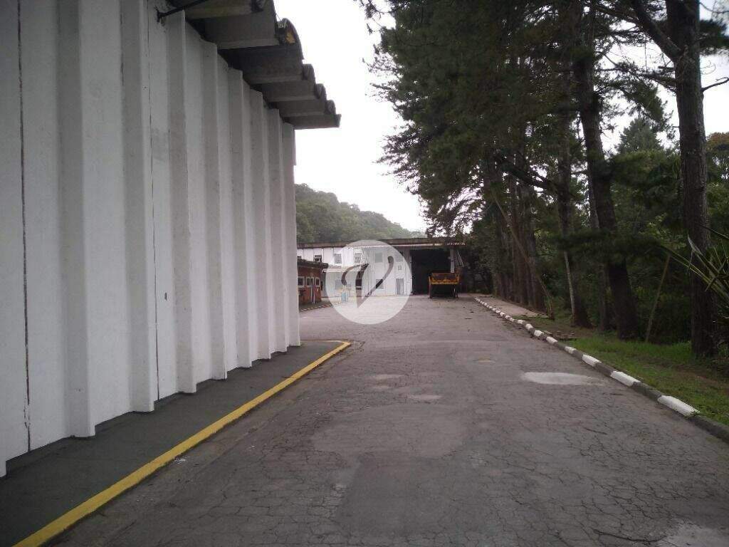 Galpão para aluguel no Barro Branco: 