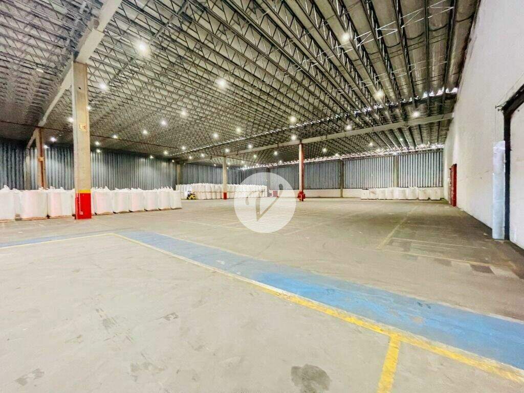 Galpão para aluguel no Vila Noêmia: 