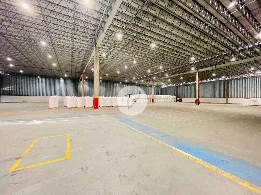 Galpão para aluguel no Vila Noêmia: 