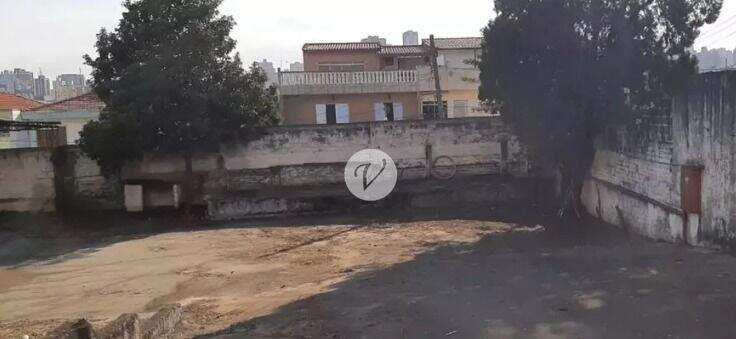 Terreno para aluguel no Vila Santo Estéfano: 