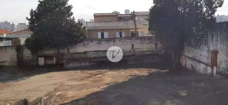 Terreno para aluguel no Vila Santo Estéfano: 