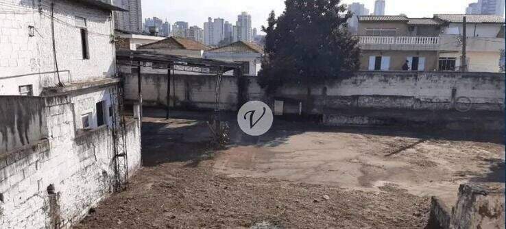 Terreno para aluguel no Vila Santo Estéfano: 