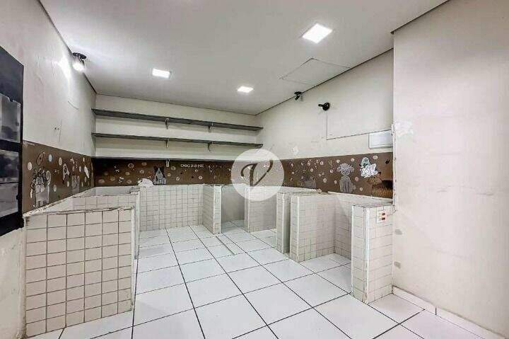 Casa para aluguel no Jardim: 