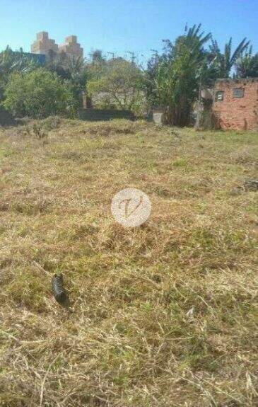 Terreno para aluguel no Jardim Jamaica: 