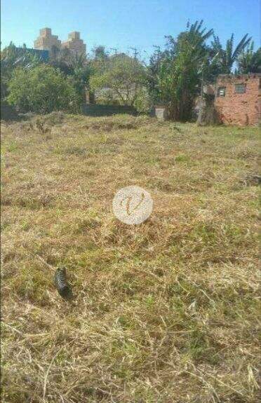 Terreno para aluguel no Jardim Jamaica: 