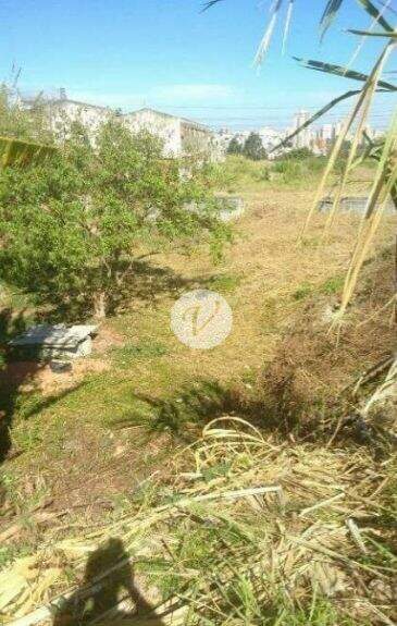 Terreno para aluguel no Jardim Jamaica: 