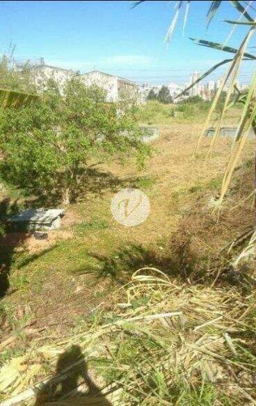 Terreno para aluguel no Jardim Jamaica: 