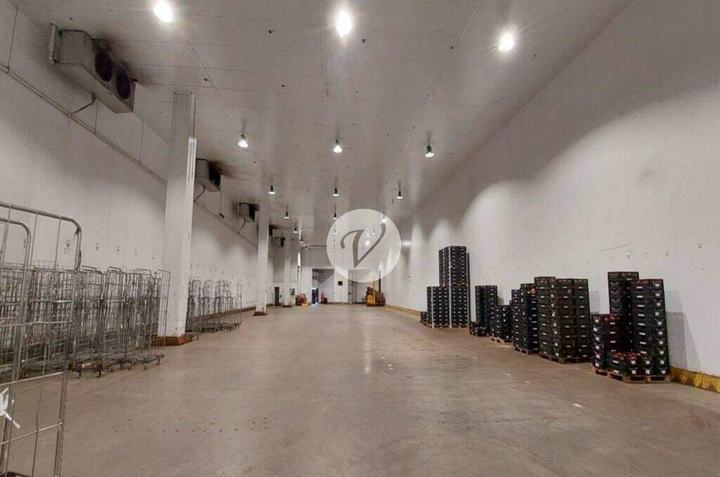 Galpão para aluguel no Vila Noêmia: 