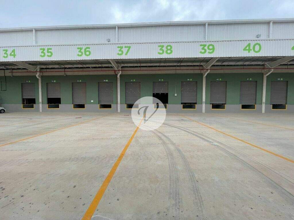 Galpão para aluguel no Vila Noêmia: 