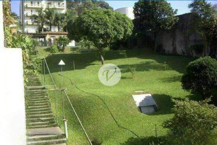 Terreno para aluguel no Vila Lusitânia: 