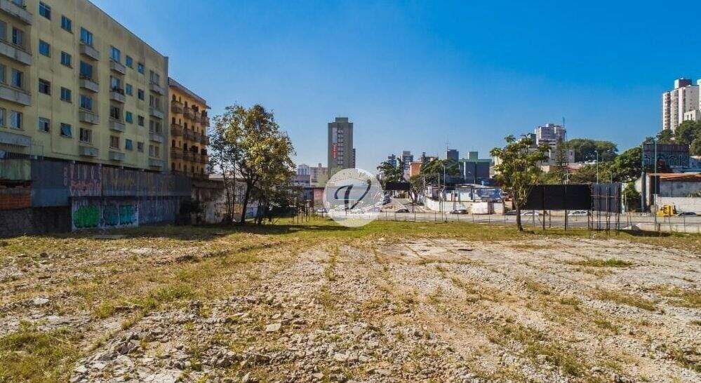 Terreno para aluguel no Vila Dusi: 