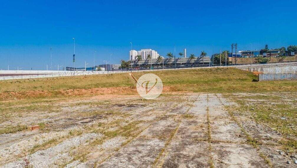 Terreno para aluguel no Vila Dusi: 