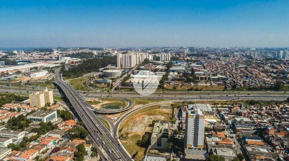 Terreno para aluguel no Vila Dusi: 