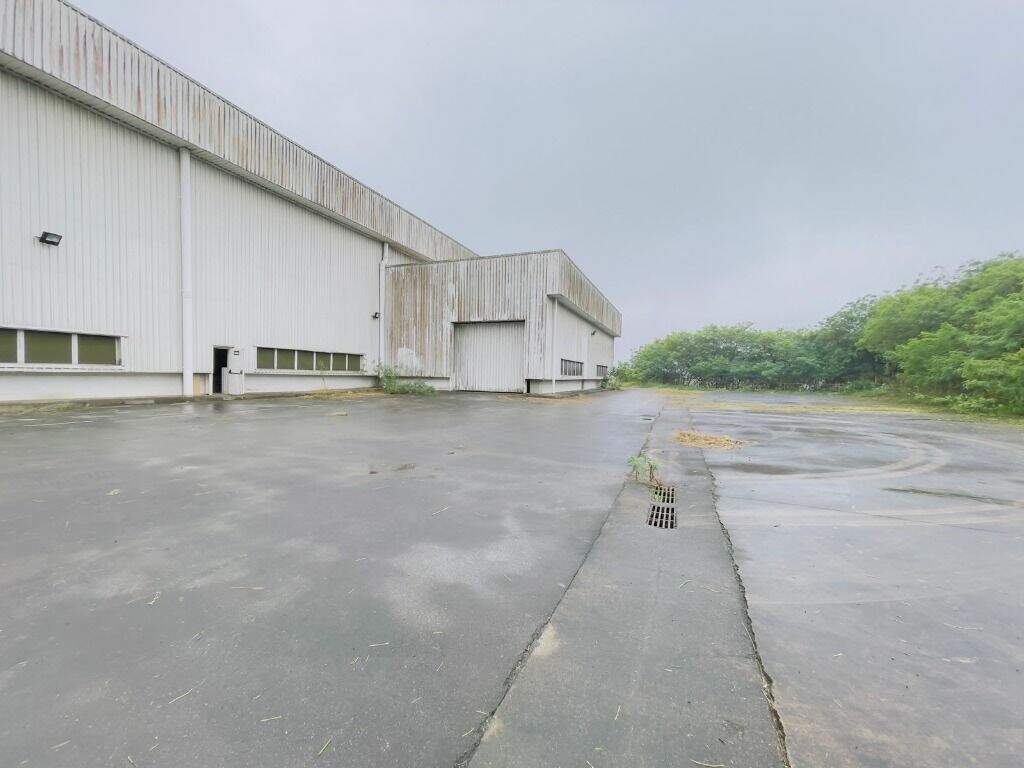 Galpão para aluguel no Parque Terra Nova II: 