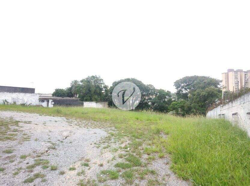 Terreno para aluguel no Assunção: 