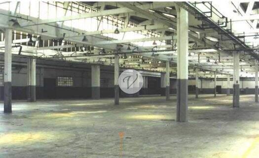 Galpão para aluguel no Jardim Santa Cruz (Sacomã): 