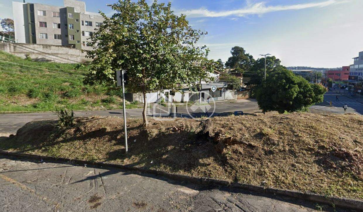Terreno/Lote para aluguel no Palmeiras: 