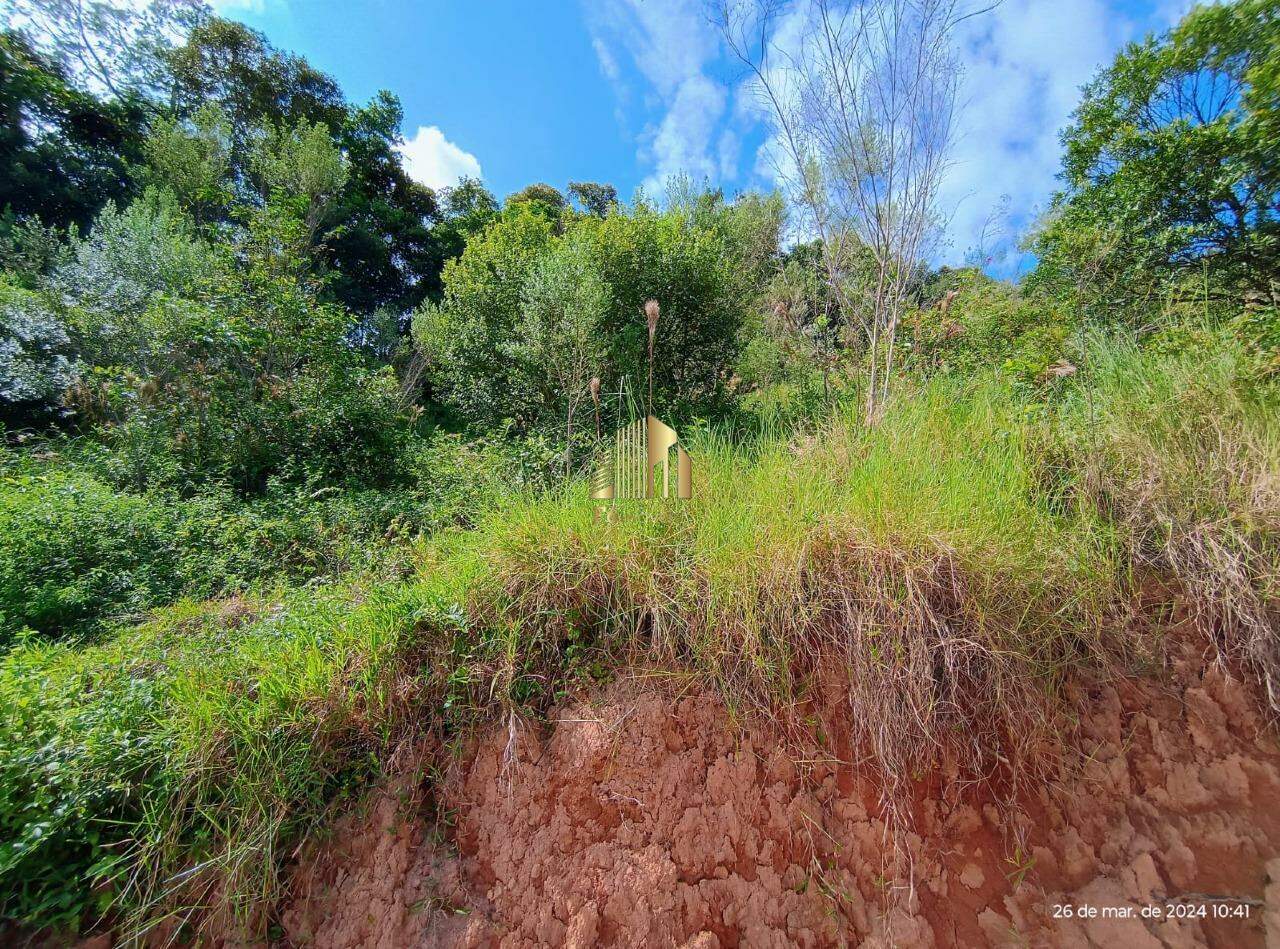 Terreno à venda, 1900m² - Foto 6