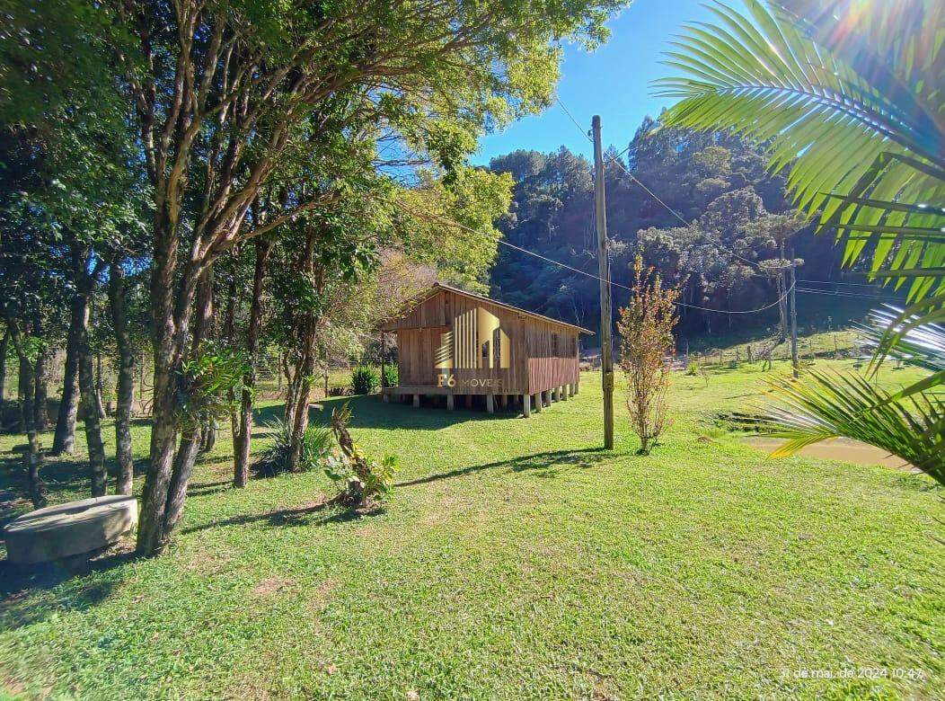 Fazenda à venda com 3 quartos, 6600m² - Foto 19