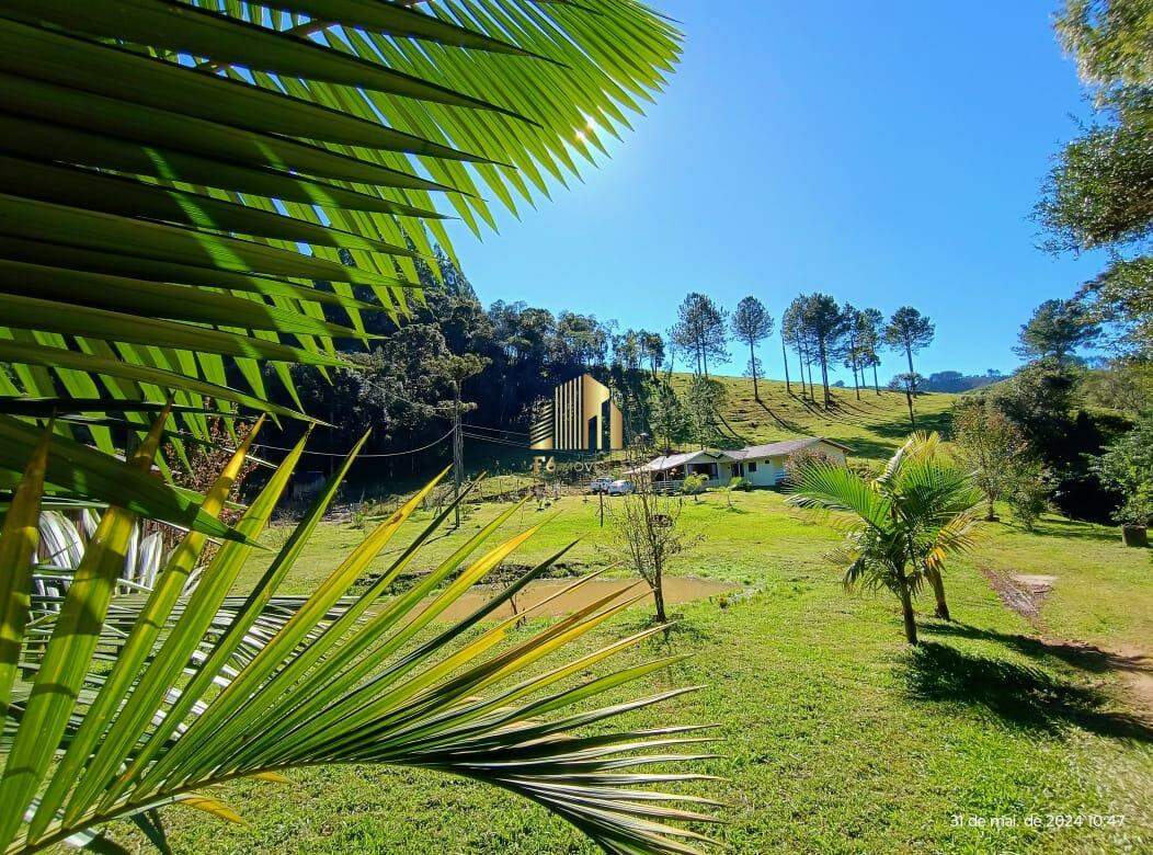 Fazenda à venda com 3 quartos, 6600m² - Foto 27