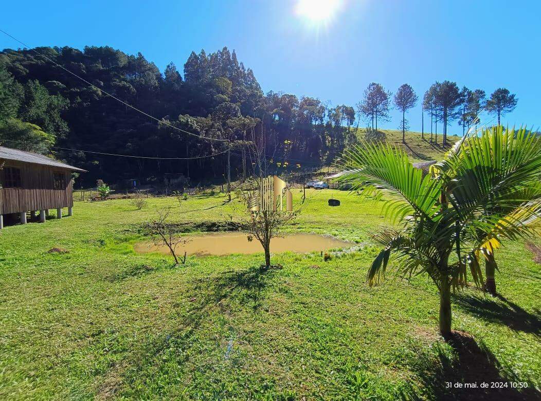 Fazenda à venda com 3 quartos, 6600m² - Foto 24