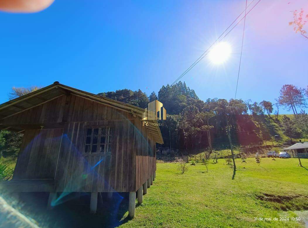 Fazenda à venda com 3 quartos, 6600m² - Foto 18