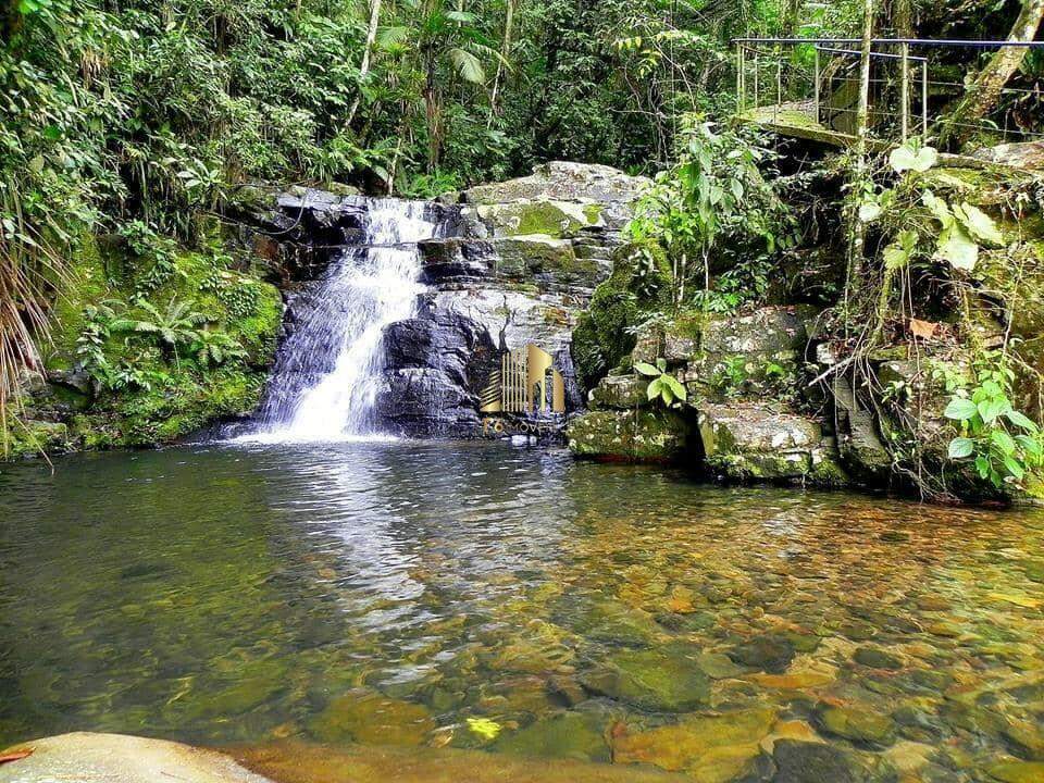 Loja-Salão à venda com 3 quartos, 89000m² - Foto 9