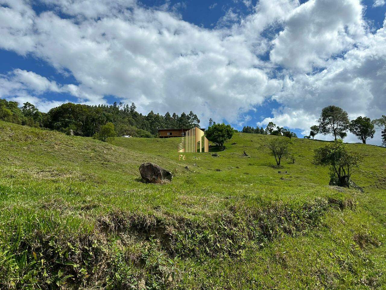 Fazenda à venda com 3 quartos, 90m² - Foto 3