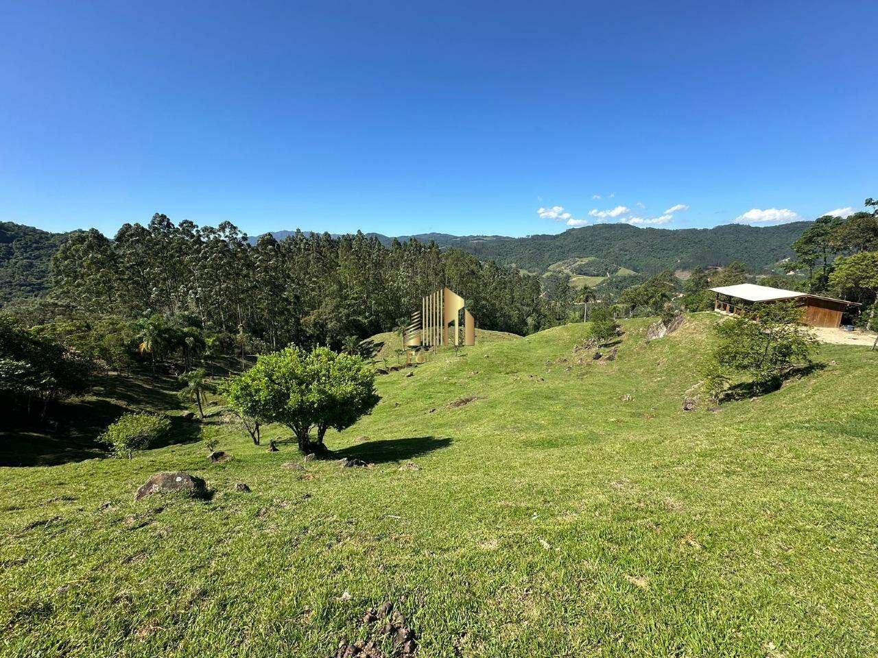 Fazenda à venda com 3 quartos, 90m² - Foto 5