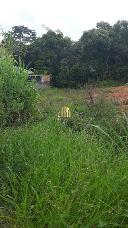 Terreno à venda, 200m² - Foto 8